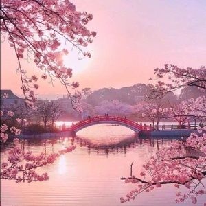 Meet your Posher, Amara